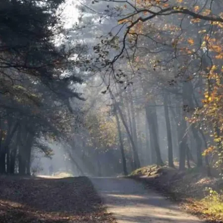 別荘 Midden In Het Bos Vlakbij De Efteling Natuurhuisje Loonse En Drunense Duinen *