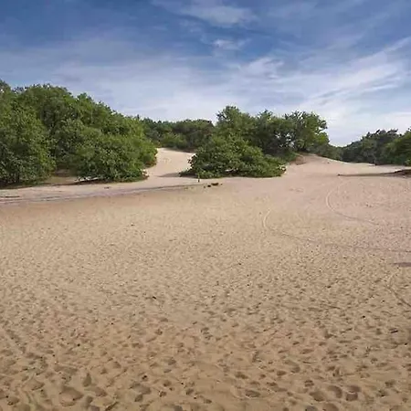 Feriehus Midden In Het Bos Vlakbij De Efteling Natuurhuisje Loonse En Drunense Duinen