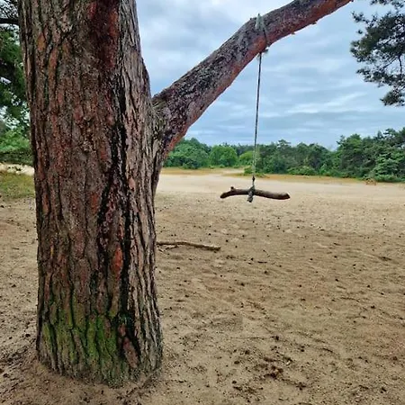 Midden In Het Bos Vlakbij De Efteling Natuurhuisje Loonse En Drunense Duinen * Helvoirt