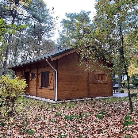Midden In Het Bos Vlakbij De Efteling Natuurhuisje Loonse En Drunense Duinen 別荘 *