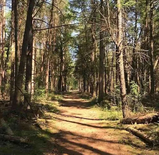 Midden In Het Bos Vlakbij De Efteling Natuurhuisje Loonse En Drunense Duinen Casa vacanze