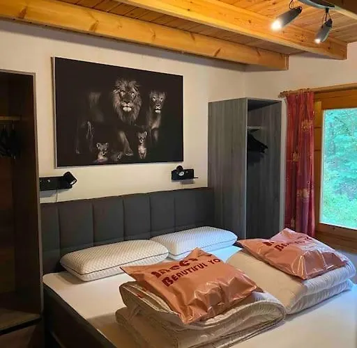 Midden In Het Bos Vlakbij De Efteling Natuurhuisje Loonse En Drunense Duinen Casa vacanze Helvoirt