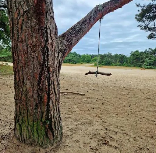 Midden In Het Bos Vlakbij De Efteling Natuurhuisje Loonse En Drunense Duinen * Helvoirt