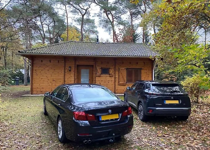 Dom wakacyjny Midden In Het Bos Vlakbij De Efteling Natuurhuisje Loonse En Drunense Duinen Helvoirt