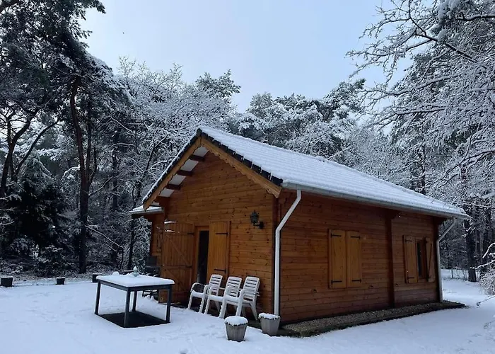 Midden In Het Bos Vlakbij De Efteling Natuurhuisje Loonse En Drunense Duinen *