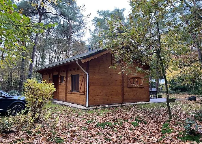 Midden In Het Bos Vlakbij De Efteling Natuurhuisje Loonse En Drunense Duinen Casa vacanze *