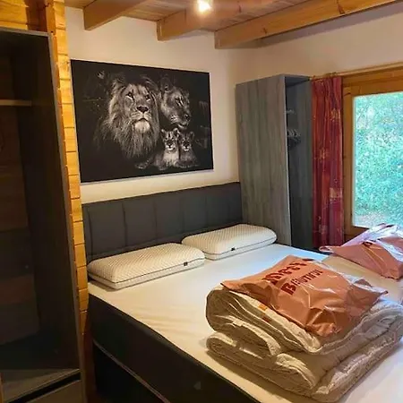 Midden In Het Bos Vlakbij De Efteling Natuurhuisje Loonse En Drunense Duinen Nyaraló *