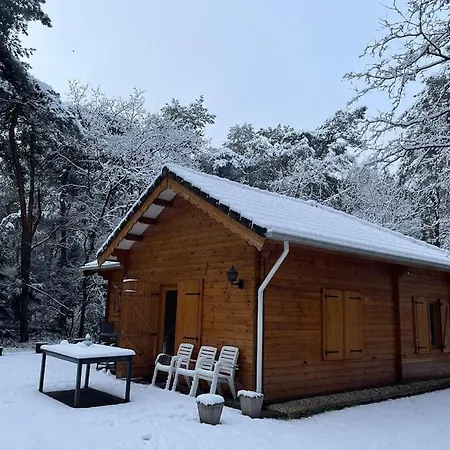 Midden In Het Bos Vlakbij De Efteling Natuurhuisje Loonse En Drunense Duinen *