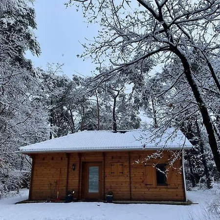 Casa de Férias Midden In Het Bos Vlakbij De Efteling Natuurhuisje Loonse En Drunense Duinen *