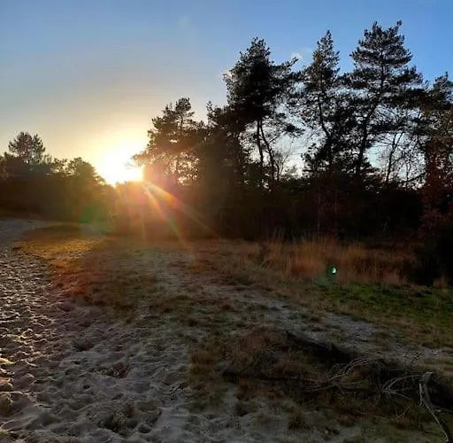 Casa de Férias Midden In Het Bos Vlakbij De Efteling Natuurhuisje Loonse En Drunense Duinen