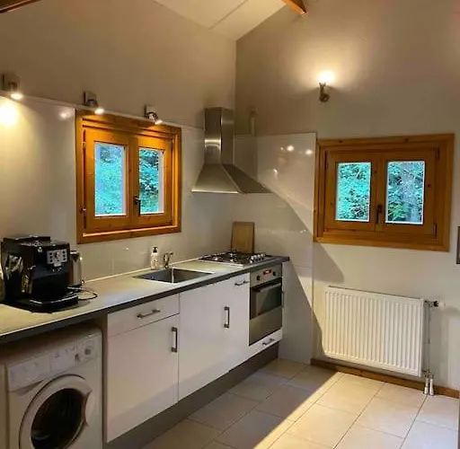 Midden In Het Bos Vlakbij De Efteling Natuurhuisje Loonse En Drunense Duinen Casa de Férias