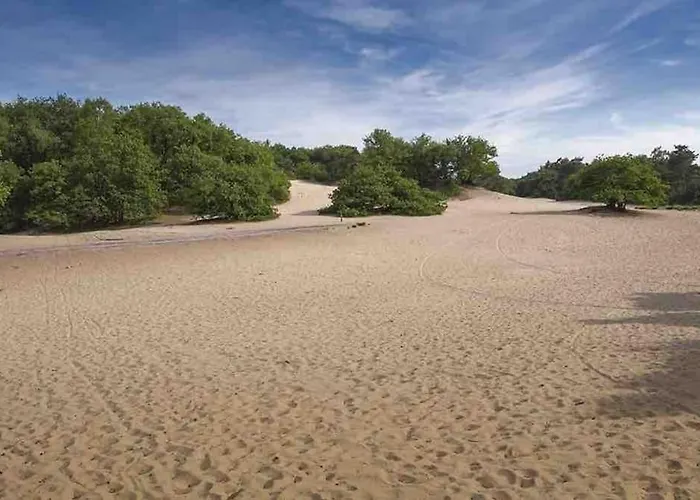 Casa de Férias Midden In Het Bos Vlakbij De Efteling Natuurhuisje Loonse En Drunense Duinen