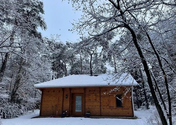 Casa de Férias Midden In Het Bos Vlakbij De Efteling Natuurhuisje Loonse En Drunense Duinen *